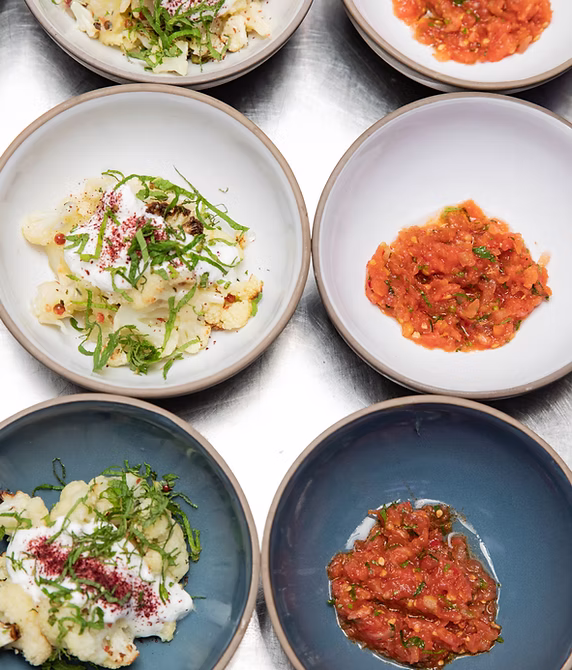 Gourmet dishes served on plates, top view